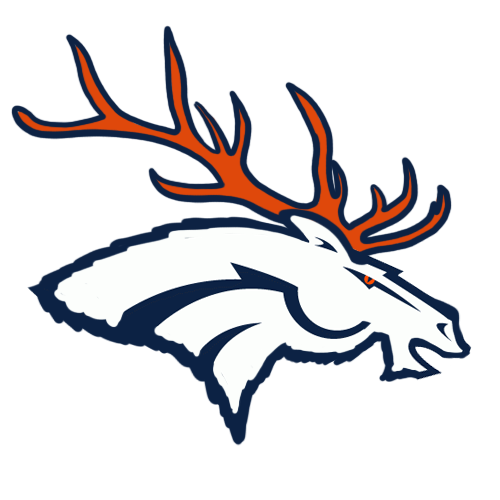 Denver Broncos Canadian Logos iron on transfers